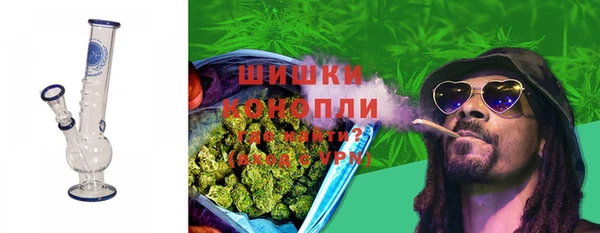 сатива Осташков