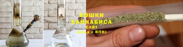 индика Пересвет
