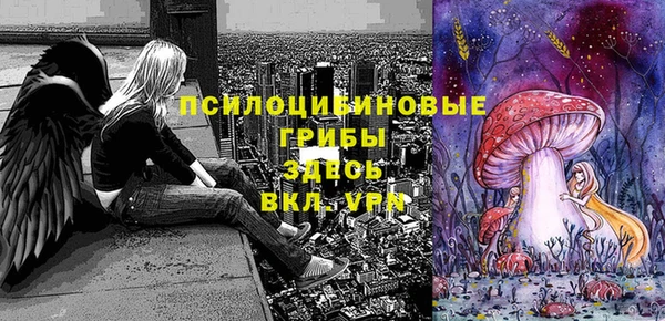MDMA Осинники