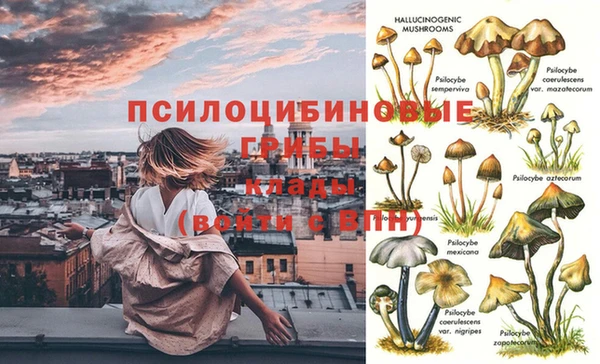 винт Валдай
